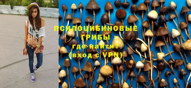 Галлюциногенные грибы MAGIC MUSHROOMS  наркота  Дубовка 